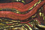 Polished Tiger Iron Stromatolite - ( Billion Years) #75819-1